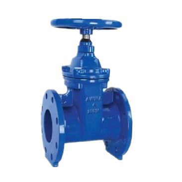 gate valve